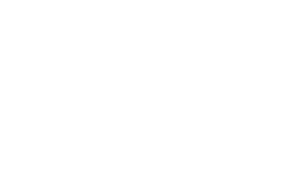 Notheast Solar Logo