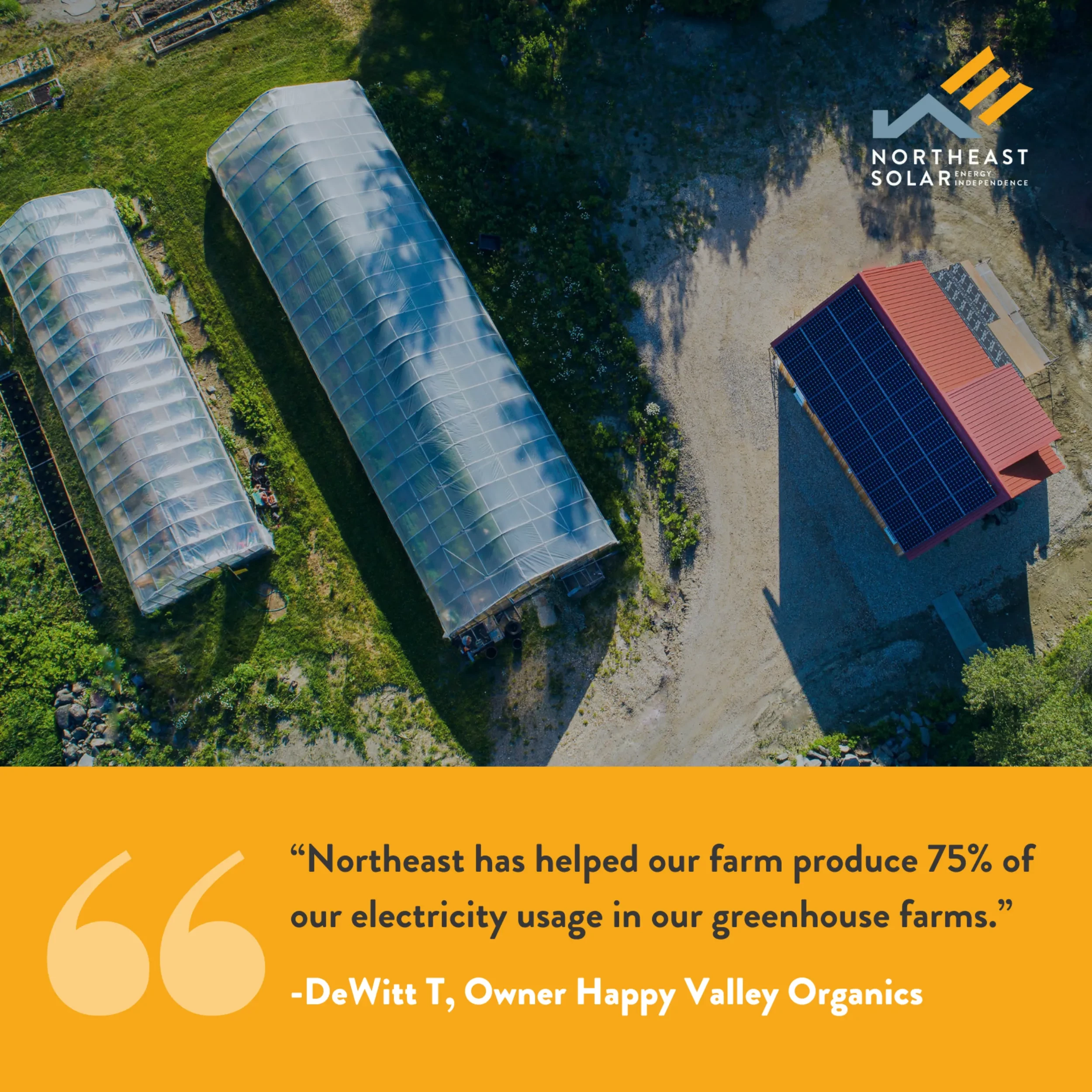 Portfolio Nes5 Resized